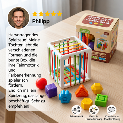 Montessori-Formenbox – Sortier- und Motorikspiel für Kinder