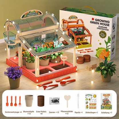 LED Kinder-Gewächshaus aus Acryl – Indoor Pflanzset für spielerisches Lernen & Pflanzenzucht